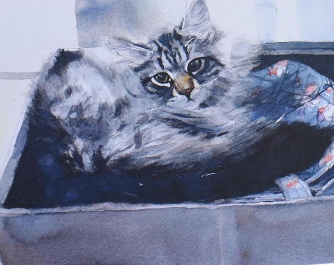 A Box for Jerry (C55) -- Blank Greeting Card, Watercolor, Nature, Pet Portrait