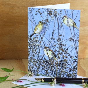 Sparrows in the Tree (C26) - Blank Greeting Card, Watercolor, Nature, Birds, Summer, Fall