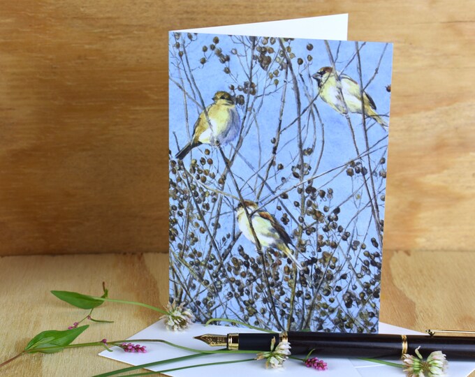Sparrows in the Tree (C26) - Blank Greeting Card, Watercolor, Nature, Birds, Summer, Fall