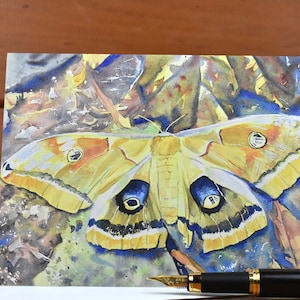 Saturn Moth (C29) - Grußkarte, Aquarell, Natur, Käfer, Sommer, Herbst