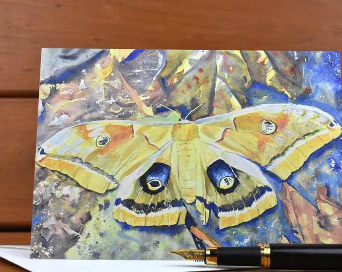 Saturn Moth (C29) - Blank Greeting Card, Watercolor, Nature, Bugs, Summer, Fall