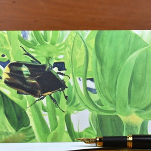 June Bug (C28) - Pusta kartka z pozdrowieniami, Akwarela, Natura, Robaki, Lato