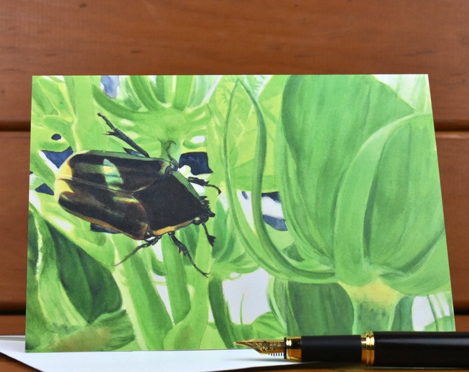 June Bug (C28) - Blank Greeting Card, Watercolor, Nature, Bugs, Summer