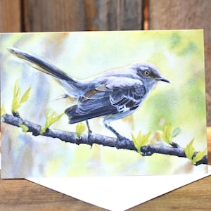 Sinsonte de primavera (C68) - Tarjeta de felicitación en blanco, acuarela, naturaleza, pájaros, primavera