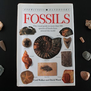 FOSSILS Vintage DK Dorling Kindersley Book | Eyewitness Handbooks | Cyril Walker | David Ward
