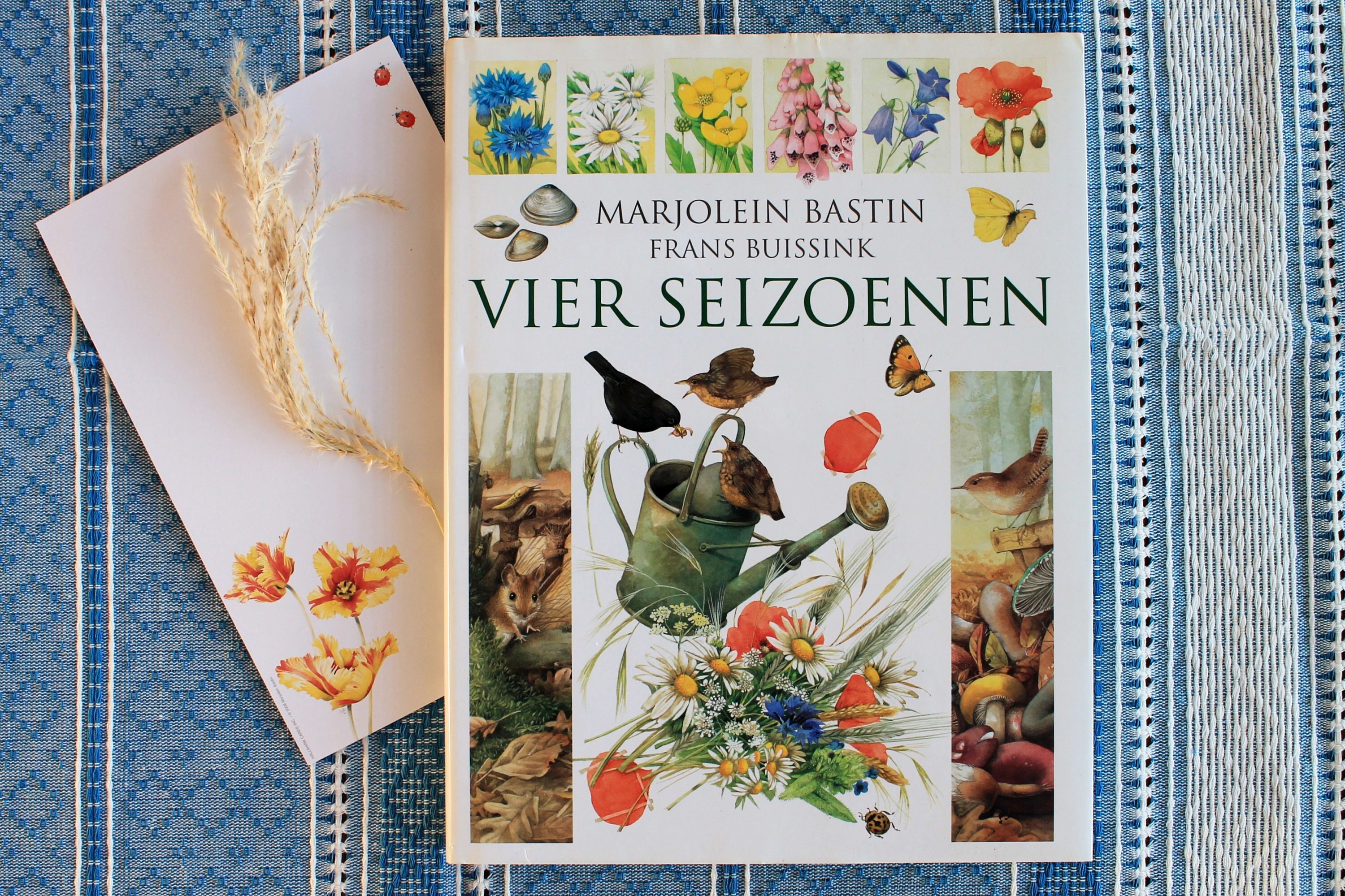 Vier Seizoenen Illustrations Marjolein Bastin Libelle Four Seasons