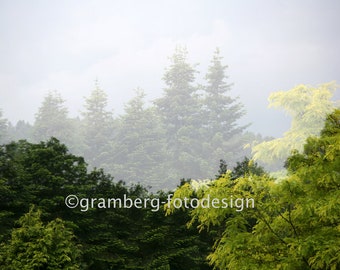 Photographie Photo « Forest Secret » - Image Murale Art surréaliste irréel fantastique Nature Forêt