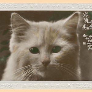 Cartão postal de nostalgia em inglês vintage, cartão postal de aniversário "Um feliz aniversário/gato branco" - raridade da Grã-Bretanha, colecionável antigo