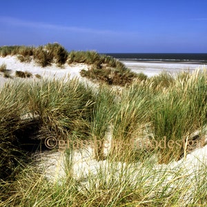 Photographie « Dunes de la mer du Nord » - Mer Plage Dunes Nature voyage vacances Détente