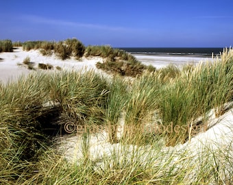 Photographie « Dunes de la mer du Nord » - Mer Plage Dunes Nature voyage vacances Détente