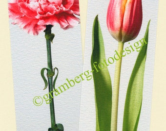 2 signet « Carnation et Tulipe » - livre de signets signet photo lire photos fleurs fleurs