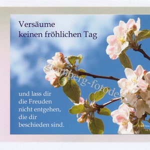 Tarjeta de felicitación felicitaciones tarjeta "alegría de la vida" - tarjeta de fotos diciendo tarjeta cumpleaños felicidad confianza alegría esperanza Biblia cristiana diciendo