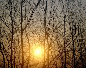 Photographie Photo « Lever de soleil » - Soleil Arbres Nature Tranquillité Détente
