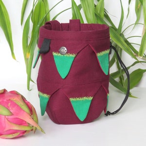 Dragon Fruit Chalk Bag, Rock Climbing Bag, Chalkbag, Gift for Climber, Pitaja bag, Arampi Fruits  Chalk Bags