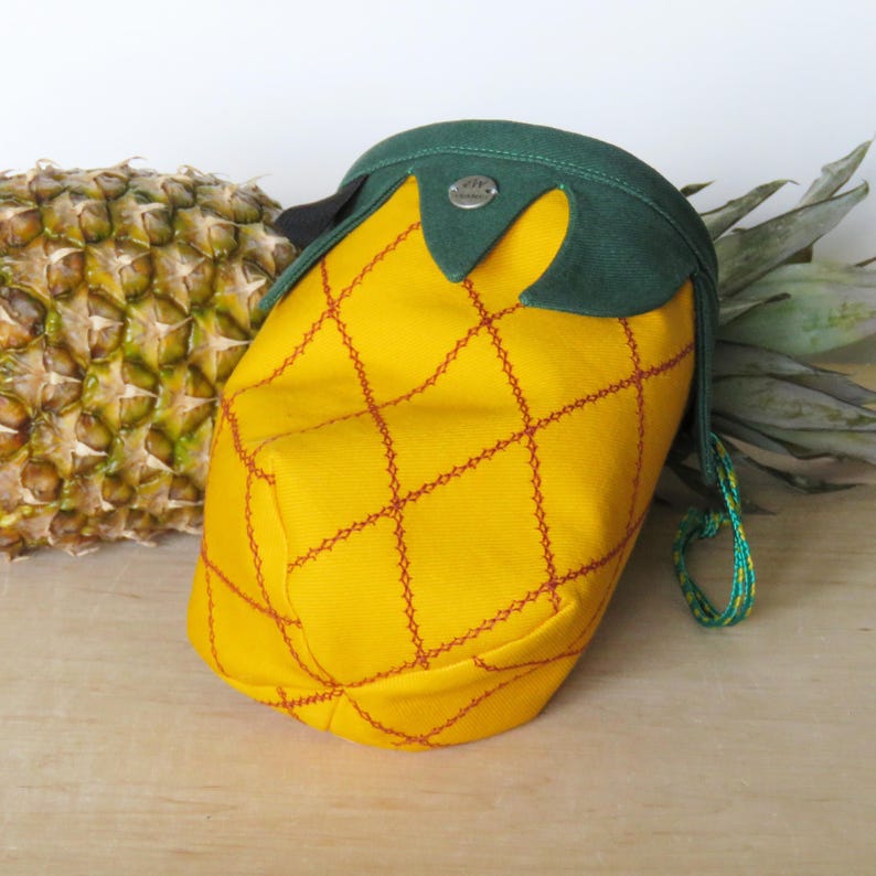 Sac de craie ananas, cadeau pour grimpeur, équipement d'escalade, série fruits Arampi image 15
