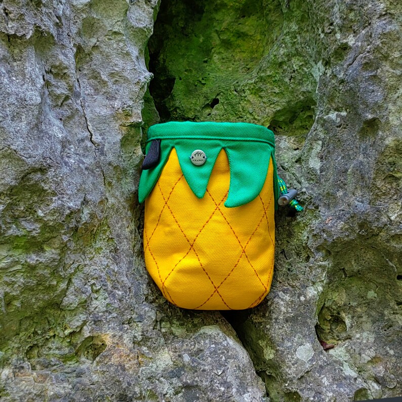 yellow pineapple with green leaves chalk bag for climber in rock mountain, embroidered thick fabric