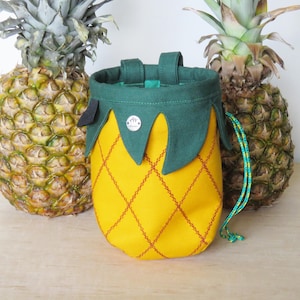 Sac de craie ananas, cadeau pour grimpeur, équipement d'escalade, série fruits Arampi image 1
