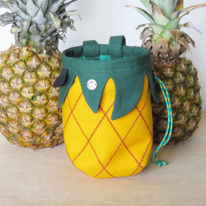 Sac de craie ananas, cadeau pour grimpeur, équipement d'escalade, série fruits Arampi image 1