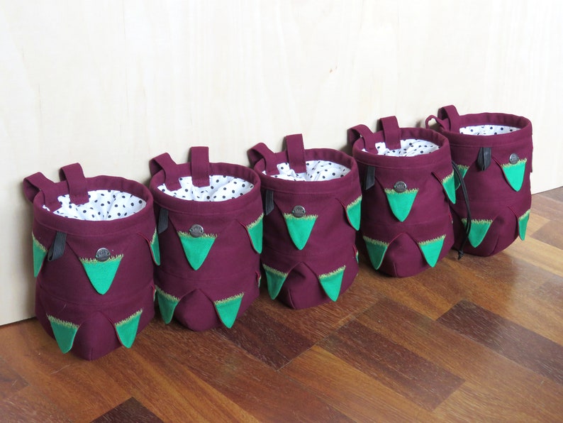 Dragon Fruit Chalk Bag Rock Climbing Bag Chalkbag Gift for Etsy