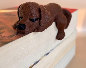 Book Shelf Sitters