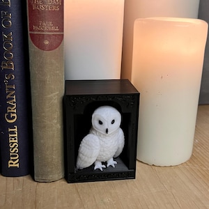 Owl Book Nook Insert: Gothic Arch Frame, Fantasy Bookshelf Decor