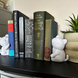 Cuddling Cat Bookend Set: Kawaii Kitty Hugging Books