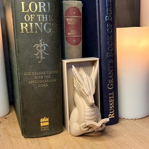 Reading Dragon Book Nook Insert: 3D Printed Fantasy Bookshelf Decor