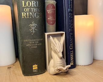 Reading Dragon Book Nook Insert | Fantasy Bookshelf Decor, Gothic Library Bookend