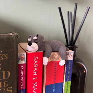 Puede incluir: Una figura de perro gris y blanco descansando sobre una pila de libros. Los libros tienen lomos rojos, azules y verdes con los títulos "Harry Potter" y "Sarah J. Maas". La figura tiene patas blancas y una cara blanca.