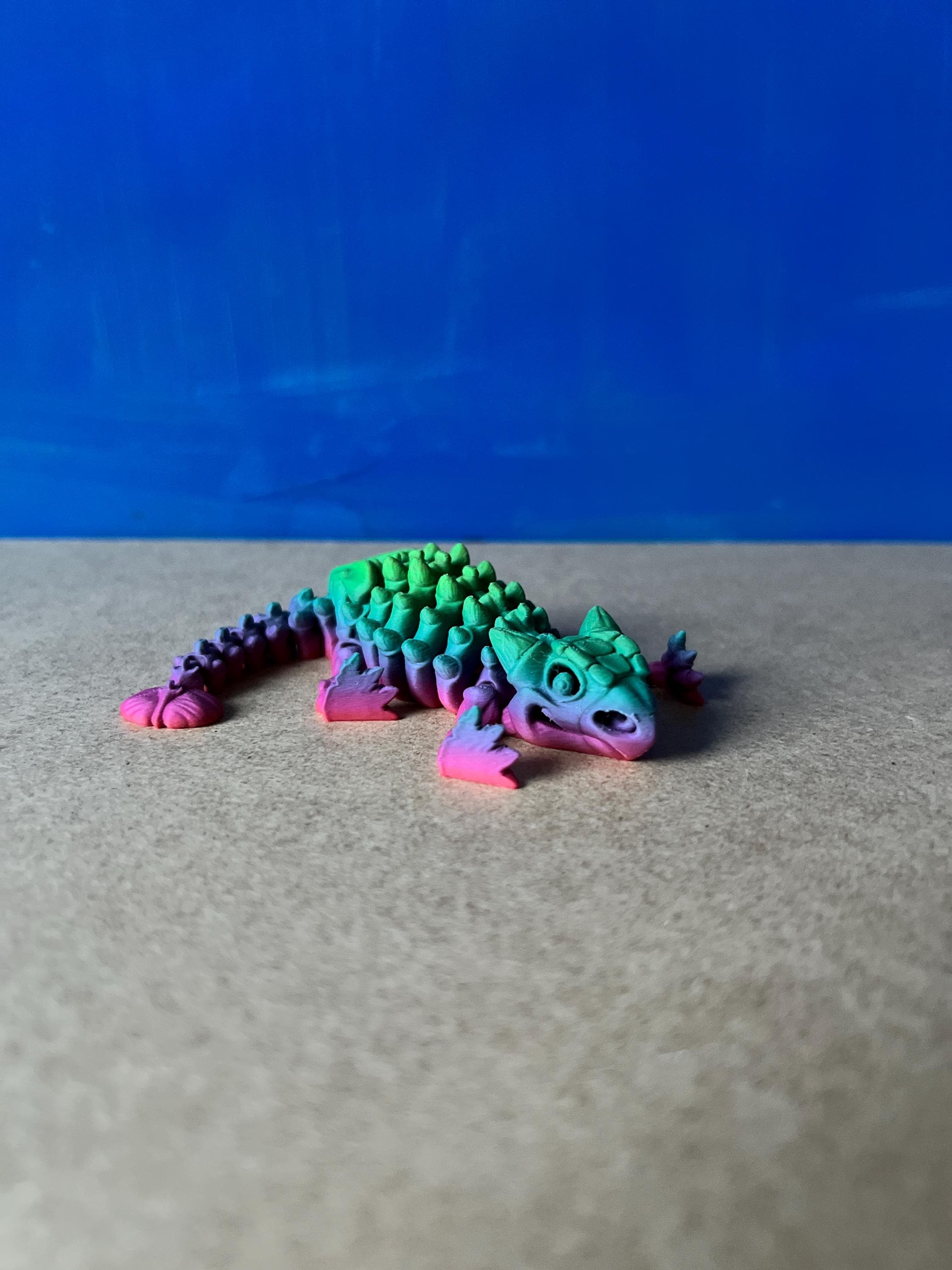 Pachysaurus - Etsy 日本