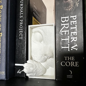 Playful Cat Book Nook Insert – Cute Kitty Paw Shelf Diorama for Cozy Home Decor – Adorable Gift for Cat Lovers and Bookish Readers