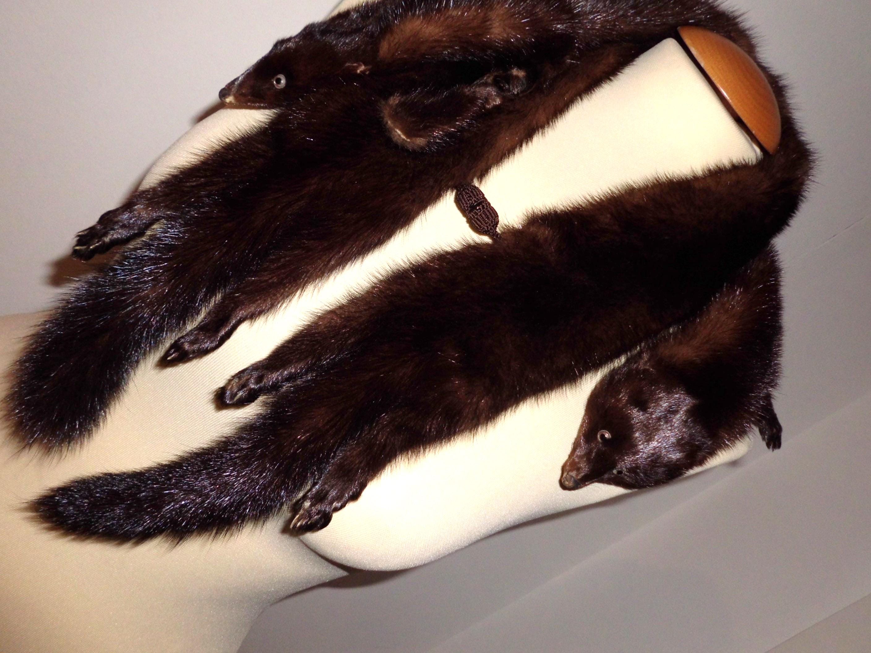 Mink Double Stole, With Head and Feet - Etsy