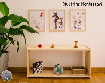 Montessori Cabinet + 3 Pictures