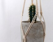 CHANDRA Petite Plant Hangers Perfect for Succulents
