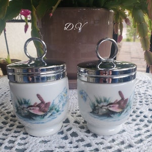 Royal Worcester Porcelain Egg Coddlers - Decoração de pássaros