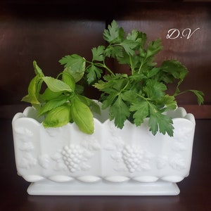 Vintage Westmoreland Milchglas Rechteck Fenster Pflanzer