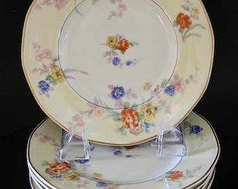 Theodore Haviland Limoges 