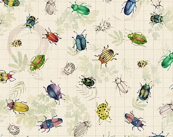 Beetle Fabric Michael Miller Beetles and Bugs