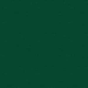 May include: A solid, dark green background with a textured finish. The colour is a deep, rich shade of green, with slight variations in tone across the surface. The texture adds visual interest to the solid colour.