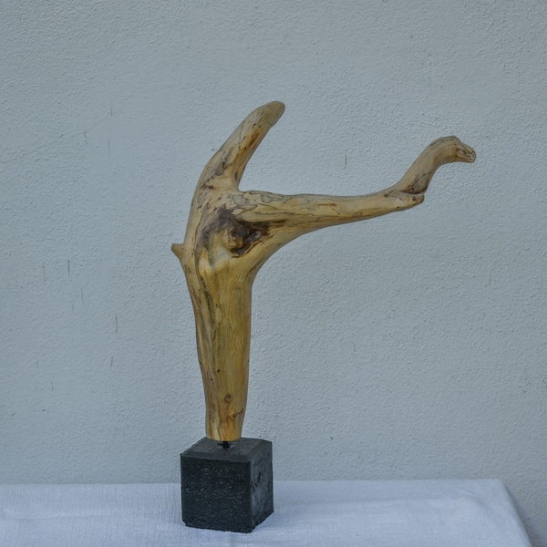 Skulptur "Wink" Kunstobjekt Treibholz Schwemmholz