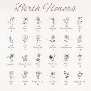 May include: A chart of birth flowers, with each month represented by a circle containing a black and white illustration of a flower. The month, flower name, and number are listed below each circle.