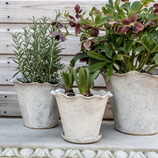 Ebba Giardino Handmade Planter, stoneware pottery, floral display