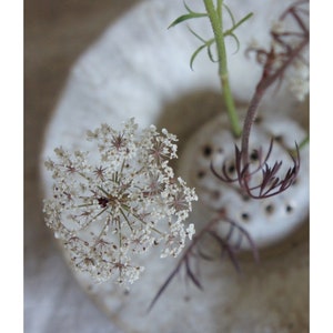 Ceramic Ikebana in cream off white Glaze, Japanese flower arranging, floral image 6
