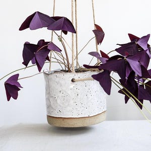 Könnte beinhalten: Ein weißer, hängender Keramiktopf mit gesprenkeltem Überzug und braunem Rand. Der Topf ist mit einer violetten Pflanze mit herzförmigen Blättern gefüllt.