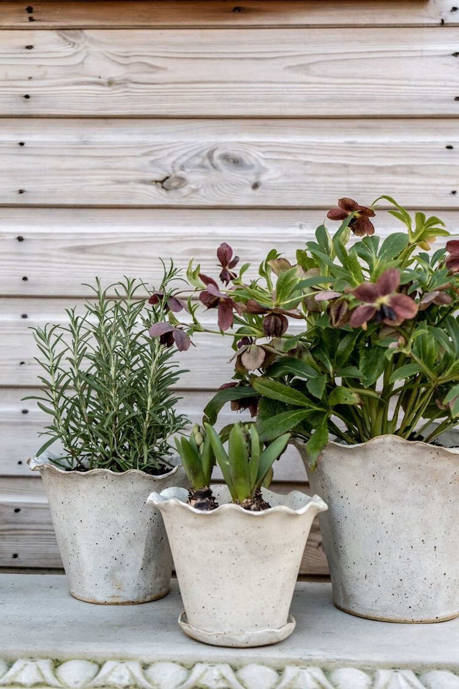 Ebba Giardino Handmade Planter, stoneware pottery, floral display