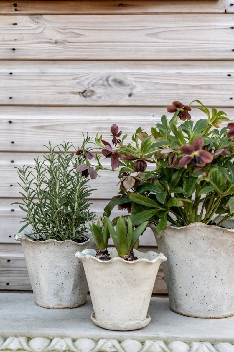 Ebba Giardino Handmade Planter, stoneware pottery, floral display
