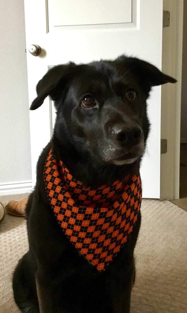 Tie On Bandana Orange and Black Argyle Halloween