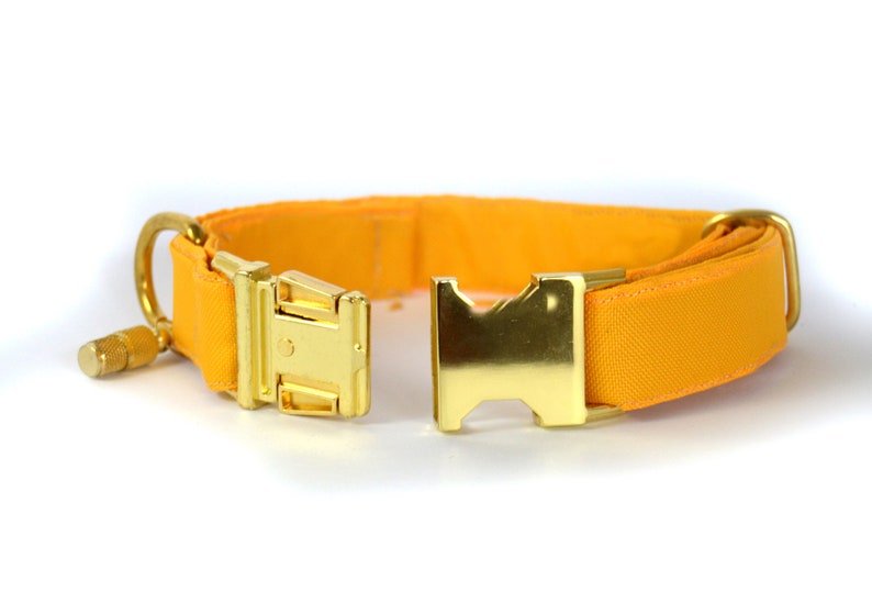 Gold Dog Collar Yellow Dog Collar Majestic rich Dog Collar Etsy
