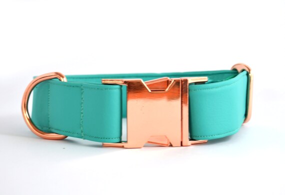 turquoise dog leash
