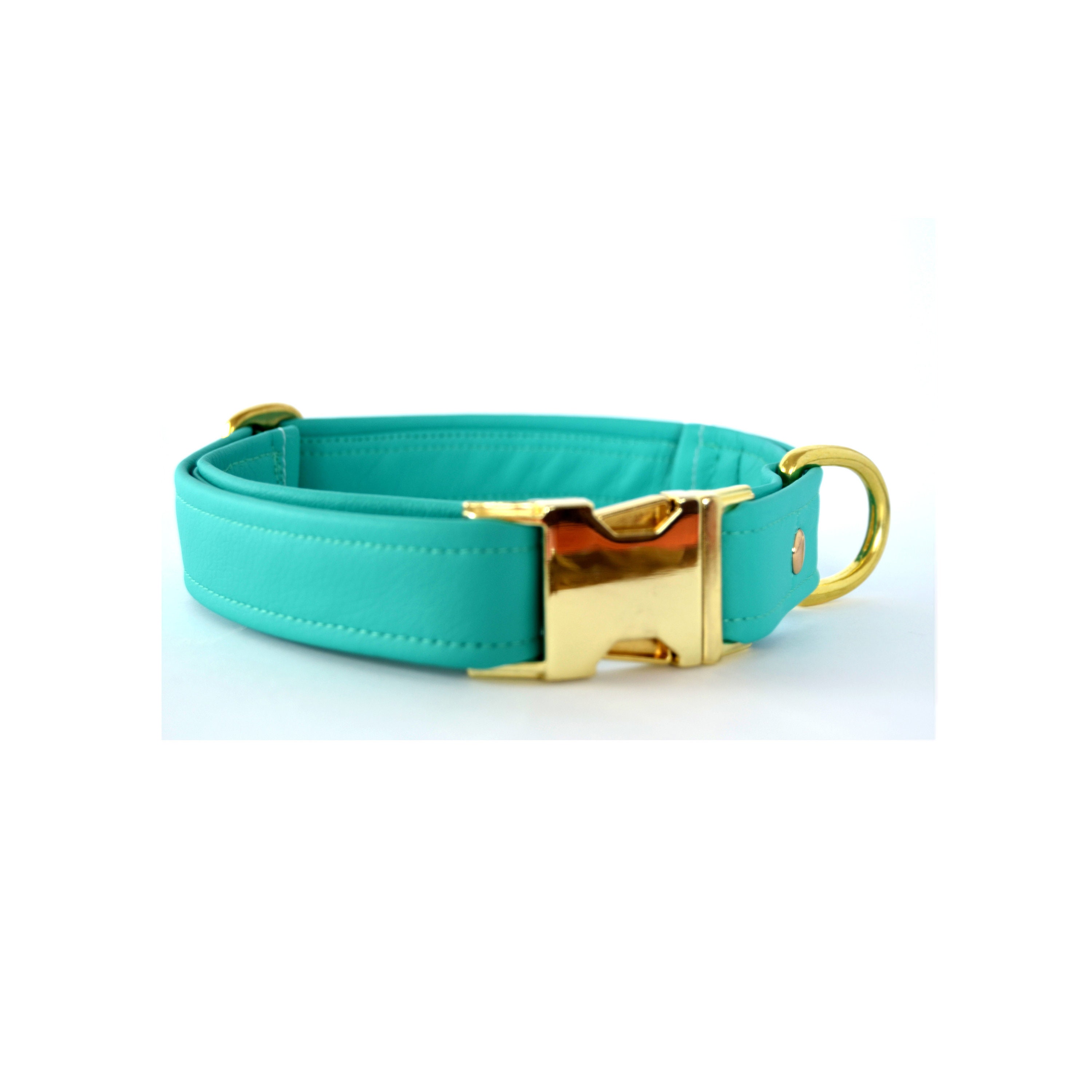 turquoise dog leash